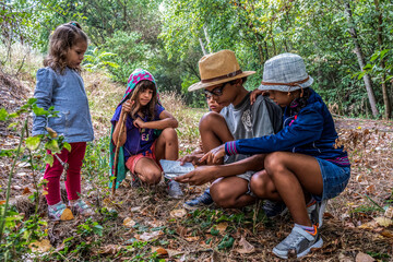 picture of children in woods